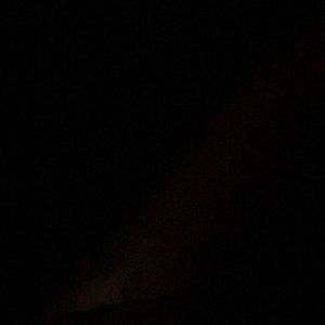 Meet your Posher, Cassandra